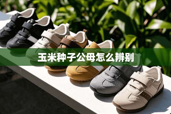 玉米种子公母怎么辨别
