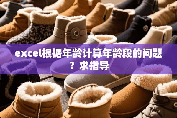 excel根据年龄计算年龄段的问题？求指导