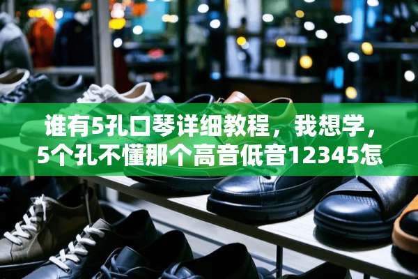 谁有5孔口琴详细教程，我想学，5个孔不懂那个高音低音12345怎么区分