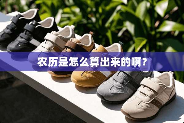 农历是怎么算出来的啊？