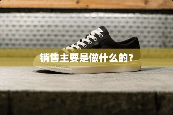 销售主要是做什么的？