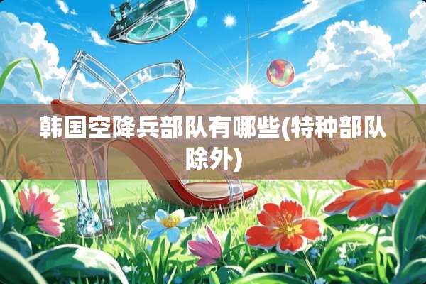 韩国空降兵**有哪些(特种**除外)