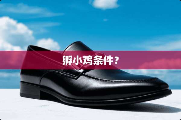 孵小鸡条件？