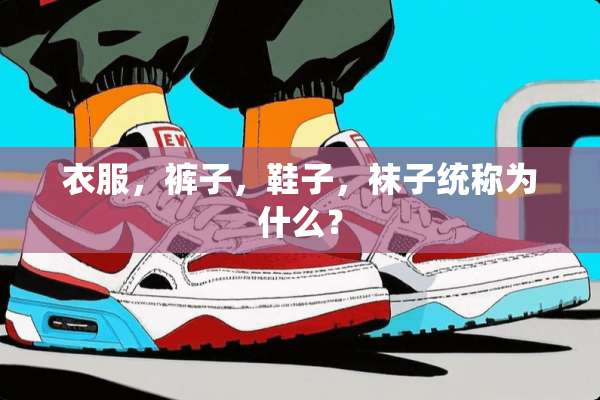 衣服，裤子，鞋子，袜子统称为什么？