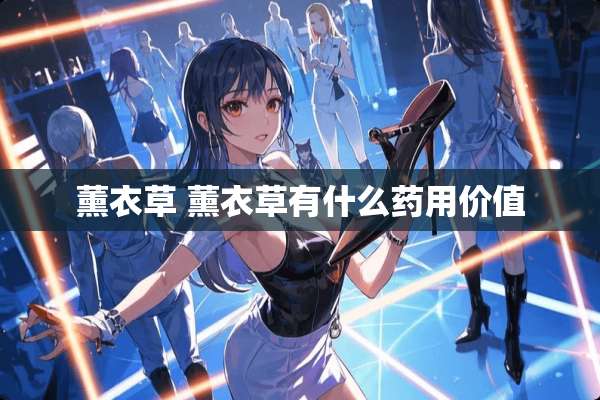 薰衣草 薰衣草有什么药用价值