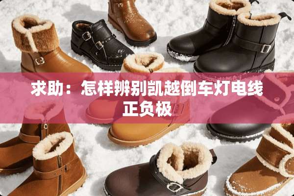 求助：怎样辨别凯越倒车灯电线正负极