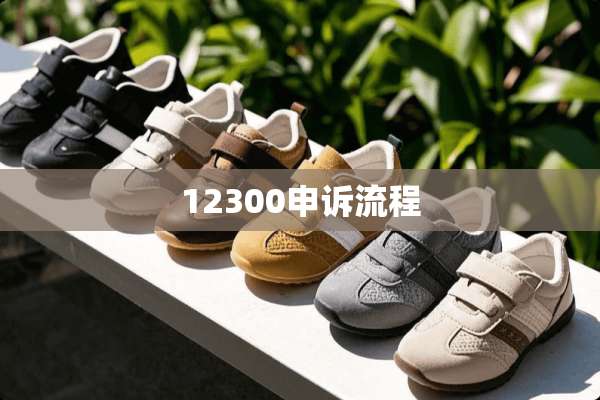 12300申诉流程