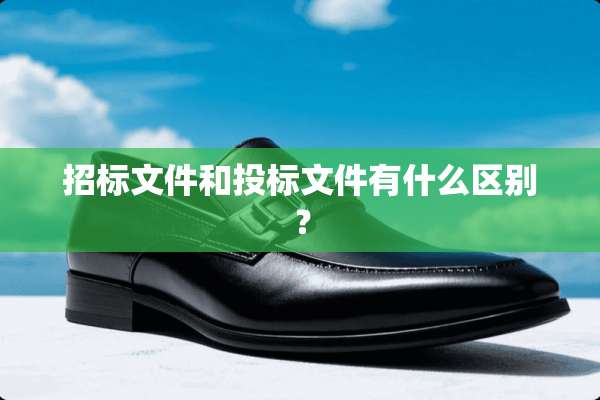招标文件和投标文件有什么区别？