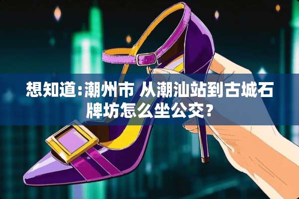 想知道:潮州市 从潮汕站到古城石牌坊怎么坐公交？