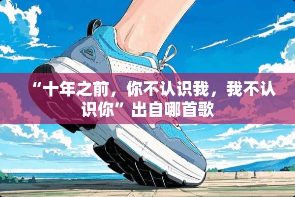 “十年之前，你不认识我，我不认识你”出自哪首歌