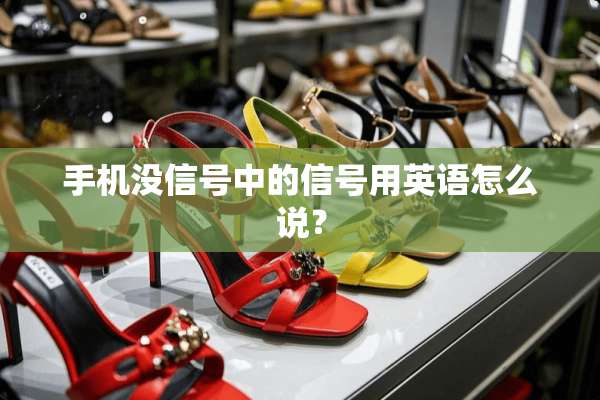 手机没信号中的信号用英语怎么说？