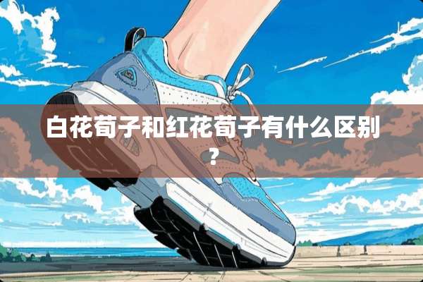 白花荀子和红花荀子有什么区别？