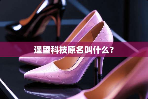 遥望科技原名叫什么？