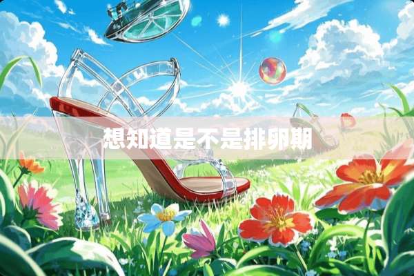 想知道是不是排卵期