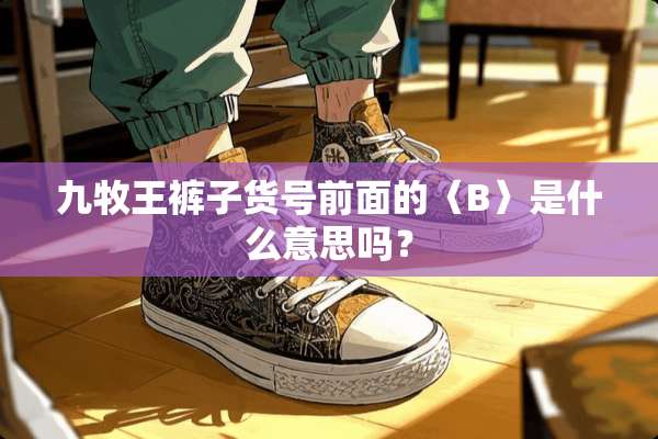 九牧王裤子货号前面的〈B〉是什么意思吗？