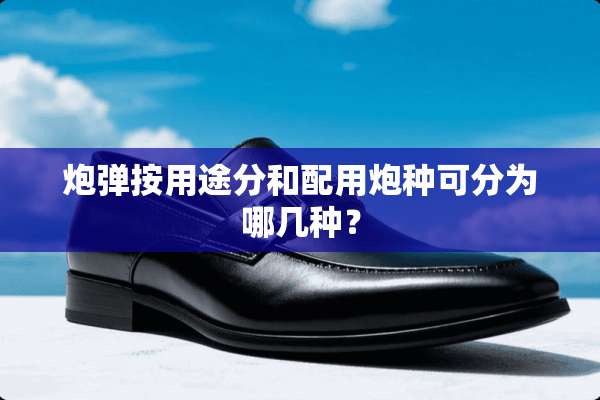 *弹按用途分和配用*种可分为哪几种？