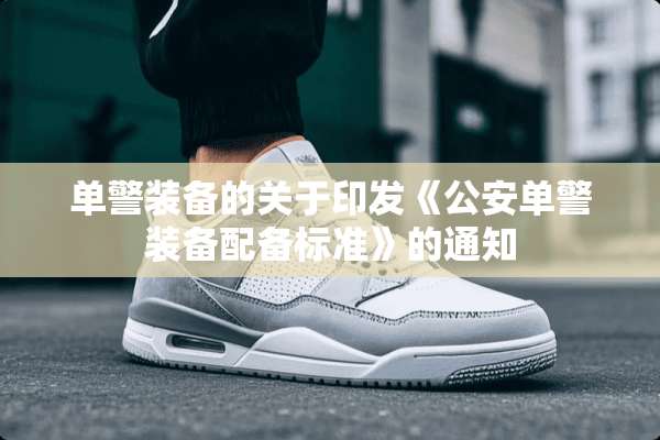 单警装备的关于印发《**单警装备配备标准》的通知