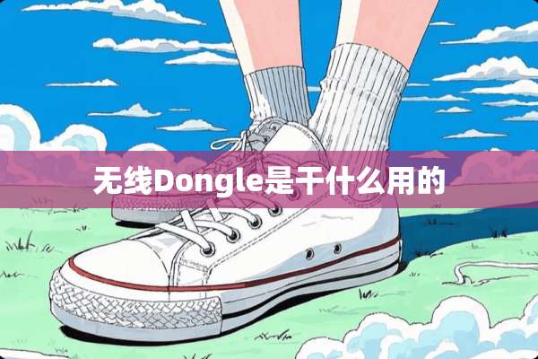 无线Dongle是干什么用的