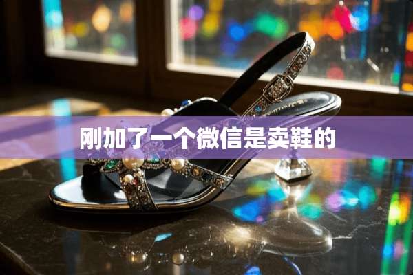 刚加了一个微信是卖鞋的
