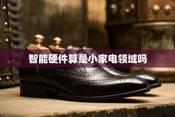 智能硬件算是小家电领域吗