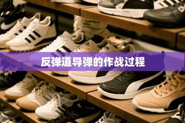 反弹道**的作战过程