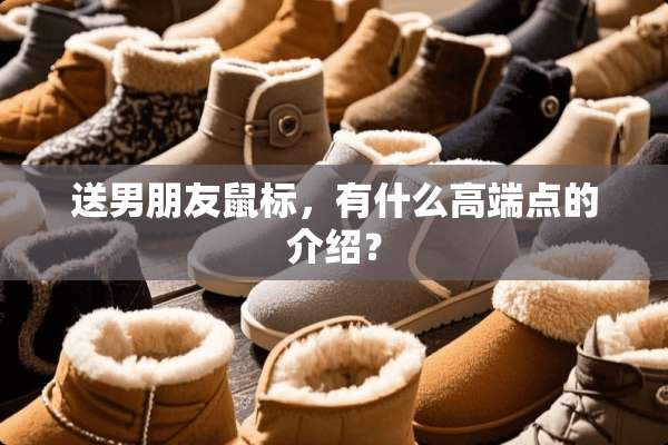 送男朋友鼠标，有什么高端点的介绍？