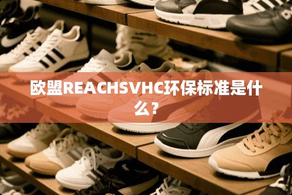 欧盟REACHSVHC环保标准是什么？
