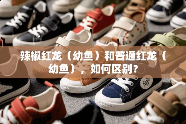 辣椒红龙（幼鱼）和普通红龙（幼鱼），如何区别？