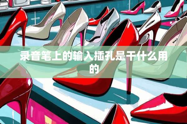 录音笔上的输入插孔是干什么用的