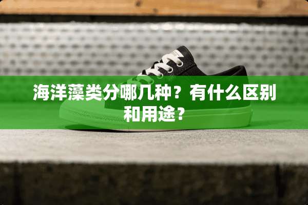海洋藻类分哪几种？有什么区别和用途？