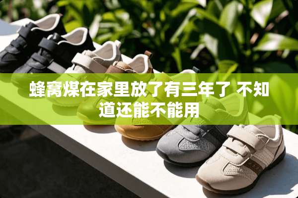 蜂窝煤在家里放了有三年了 不知道还能不能用
