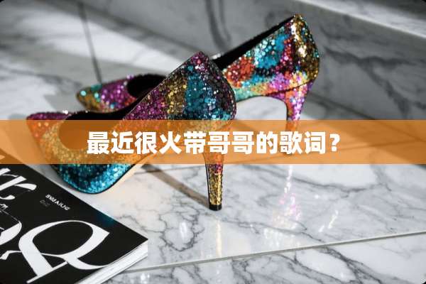 最近很火带哥哥的歌词？