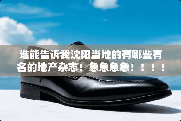 谁能告诉我沈阳当地的有哪些有名的地产杂志！急急急急！！！！