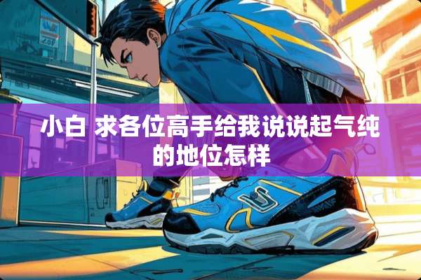 小白 求各位高手给我说说起气纯的地位怎样