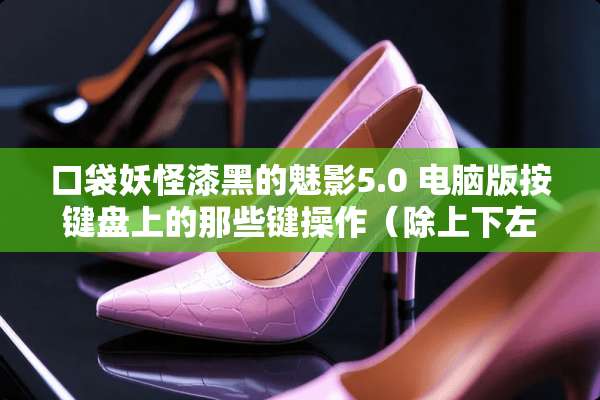 口袋妖怪漆黑的魅影5.0 电脑版按键盘上的那些键操作（除上下左右和“z”键以外）