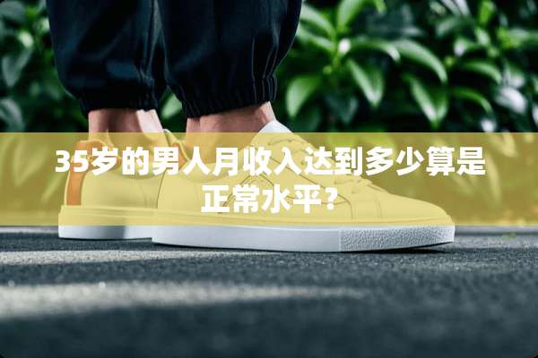35岁的男人月收入达到多少算是正常水平？