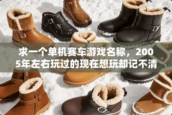 求一个单机赛车游戏名称，2005年左右玩过的现在想玩却记不清名字了