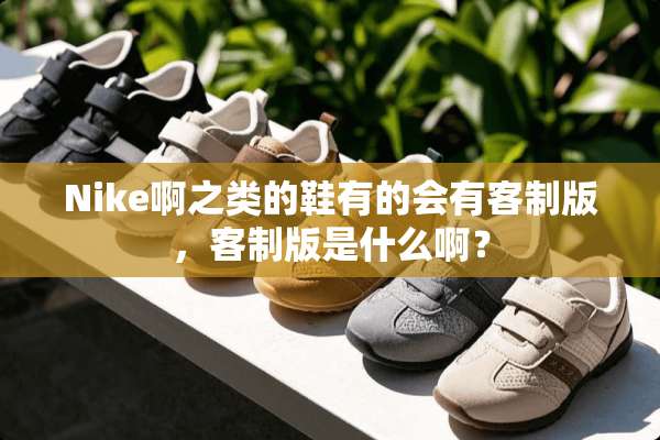 Nike啊之类的鞋有的会有客制版，客制版是什么啊？