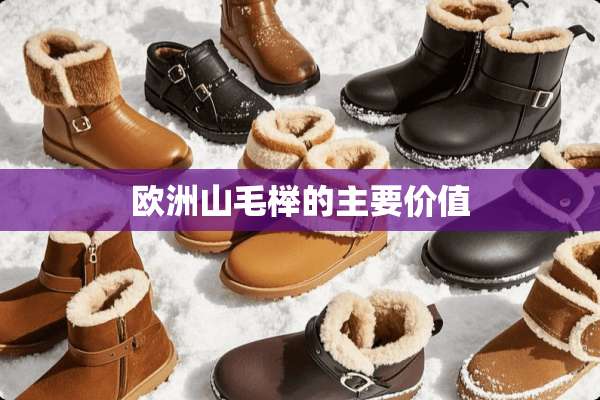 欧洲山毛榉的主要价值