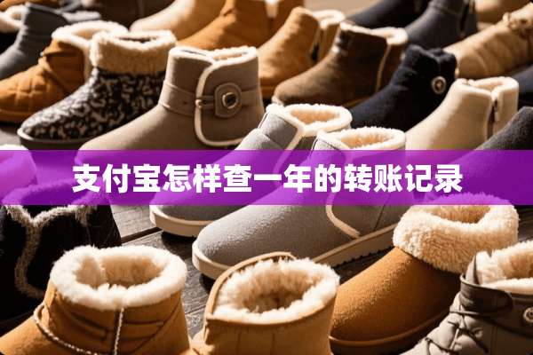 支付宝怎样查一年的转账记录