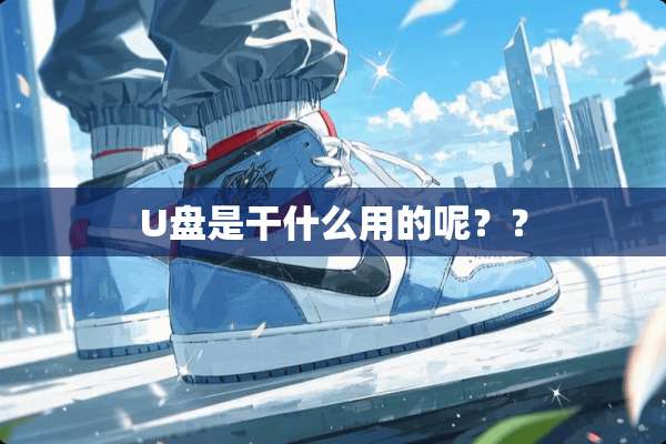 U盘是干什么用的呢？？