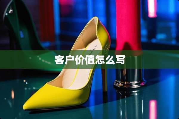 客户价值怎么写