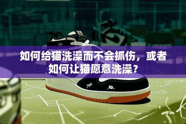 如何给猫洗澡而不会抓伤，或者如何让猫愿意洗澡？