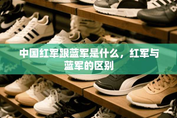 中国**跟蓝军是什么，**与蓝军的区别