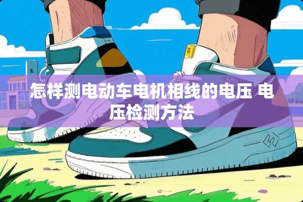 怎样测电动车电机相线的电压 电压检测方法