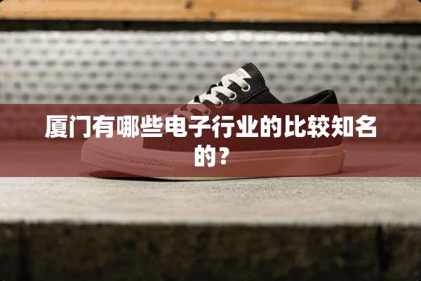 厦门有哪些电子行业的比较知名的？
