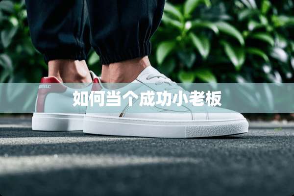 如何当个成功小老板