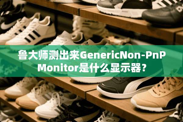 鲁大师测出来GenericNon-PnPMonitor是什么显示器？