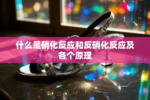 什么是硝化反应和反硝化反应及各个原理