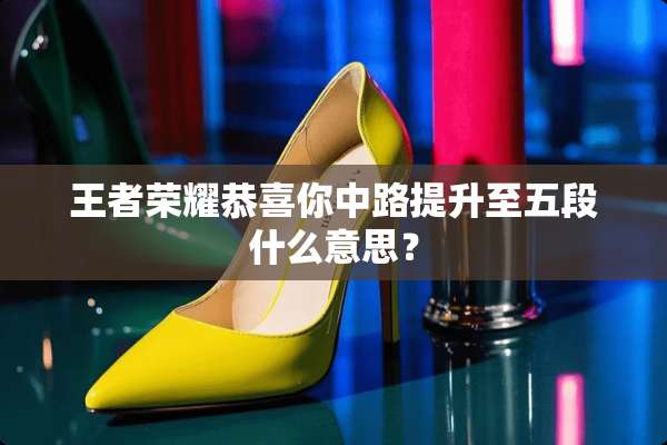 王者荣耀恭喜你中路提升至五段什么意思？